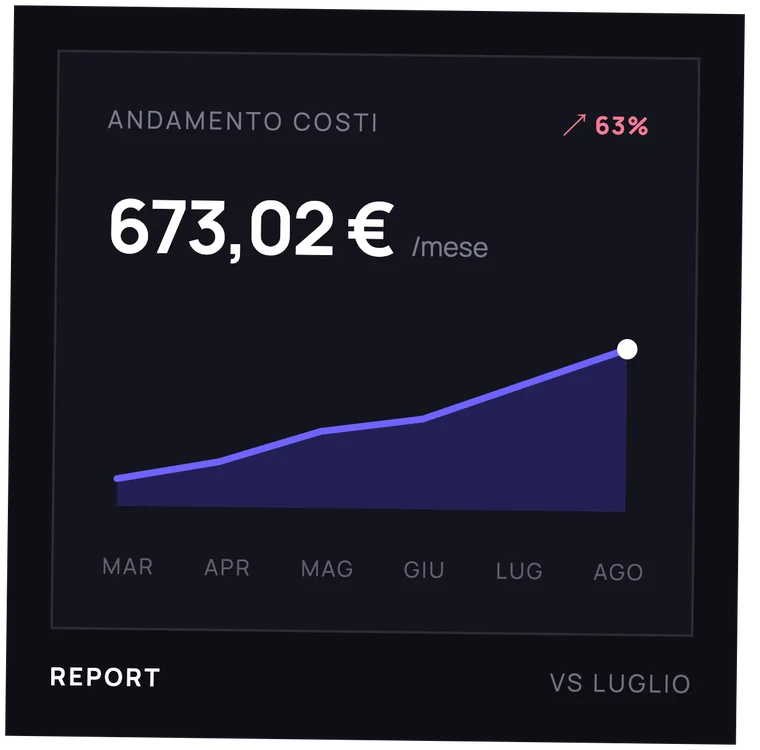 Report: andamento dei costi mensili